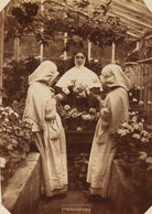 Bernardine Silent Sisters NPG P1273(31a)