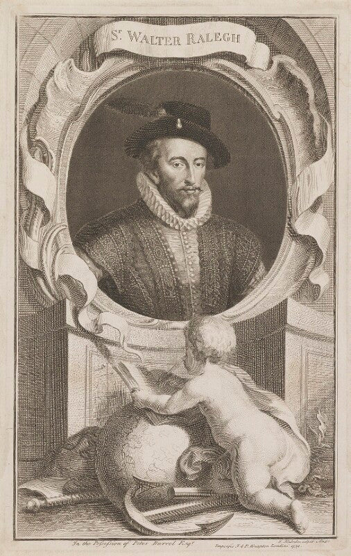 Sir walter ralegh (raleigh) npg d39188
