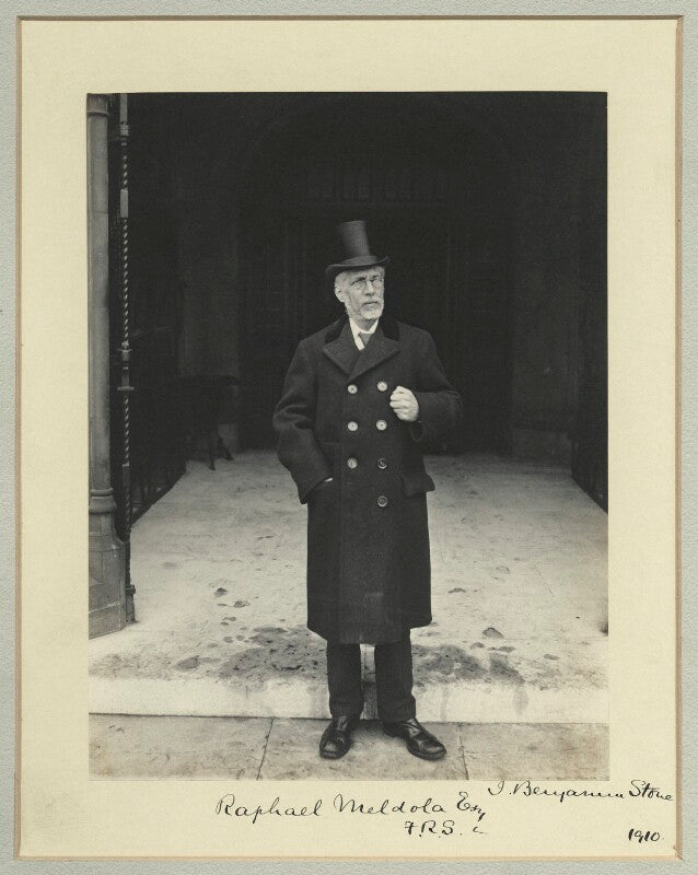 Raphael meldola npg x44881