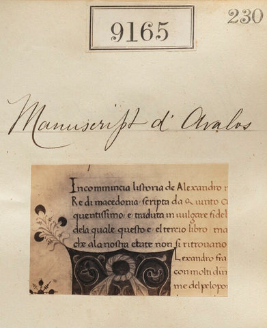 'Detail from Manuscript d'Avalos' NPG Ax58987