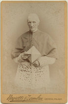 Henry Edward Manning NPG x4966