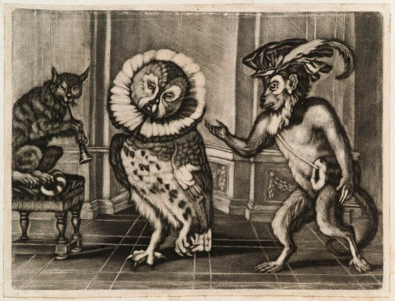 Owl, monkey and cat npg d11847