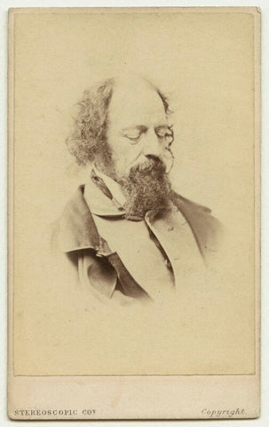 Alfred, Lord Tennyson NPG x26796