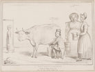 A Metamorphosis NPG D41486
