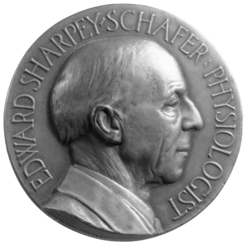 Sir edward sharpey schafer npg 4581