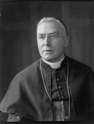 Francis Alphonsus Bourne NPG x48854