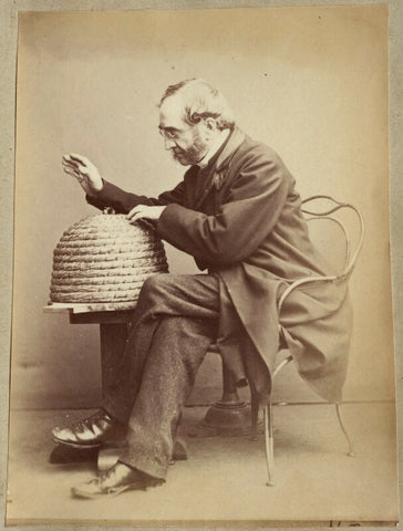 'Bee Master' NPG Ax21892