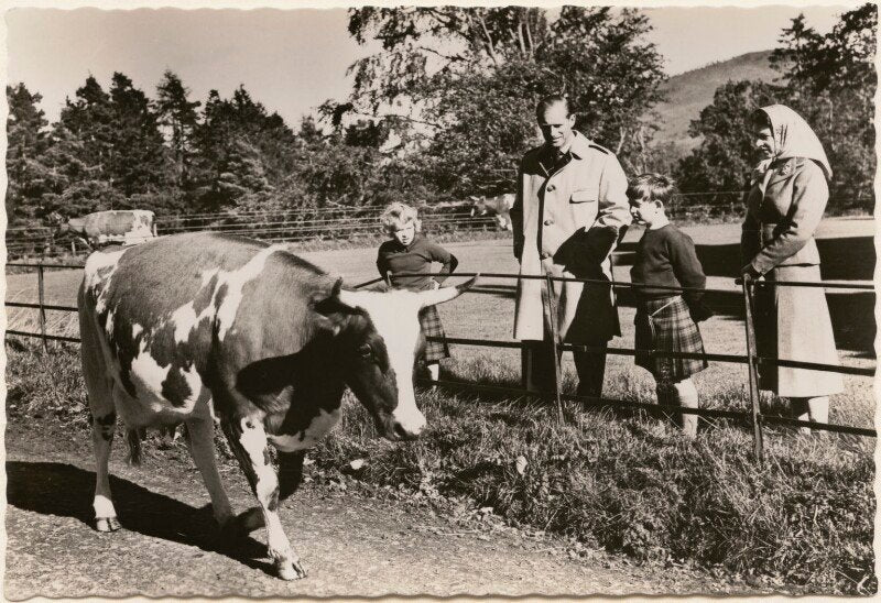 'the royal family at balmoral' (princess anne; prince philip, duke of edinburgh; king charles iii; queen elizabeth ii) npg x193033