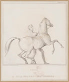 Design for a Wellington Testimonial (Arthur Wellesley, 1st Duke of Wellington) NPG D46351