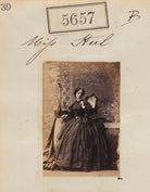 Miss Steel NPG Ax55612