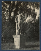 'Garsington' NPG Ax141901