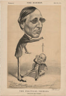 'The Political Ishmael' (Henry Fawcett; William Ewart Gladstone) NPG D48287