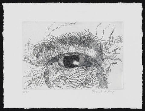 Engraving of an eye NPG D49611