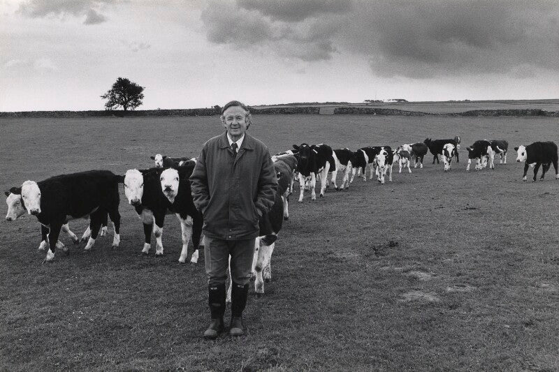 James herriot (james alfred wight) npg x12954