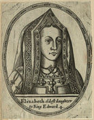 Elizabeth of York NPG D23839
