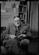 William Vaughan Wilkins NPG x93355