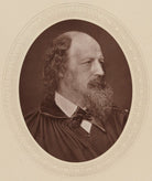 Alfred, Lord Tennyson NPG Ax17709