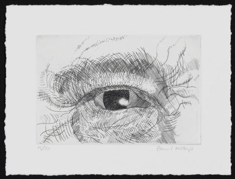 Engraving of an eye NPG D49613