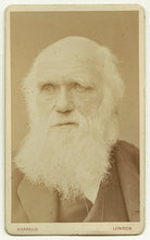 Charles Darwin NPG x5936