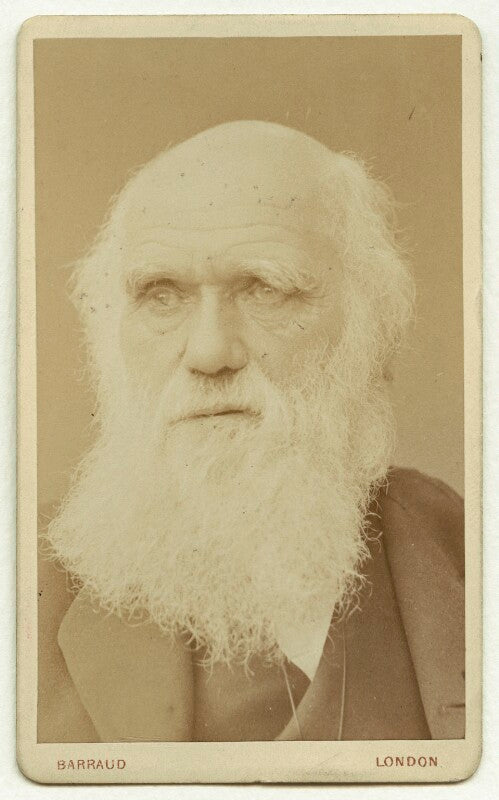 Charles darwin npg x5936