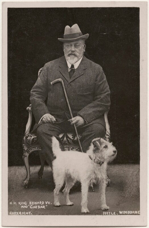 King edward vii with his dog caesar npg x196404