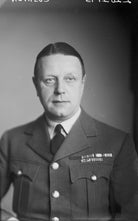 Sir William Boston Cushion NPG x187433