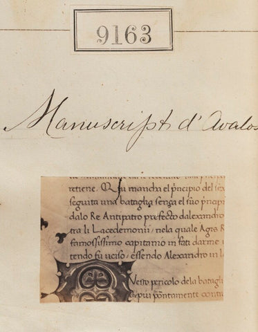 'Manuscript d'Avalos' NPG Ax58985