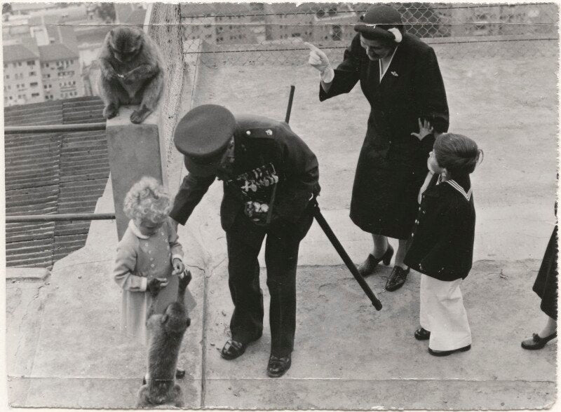 Princess anne; king charles iii npg x183994