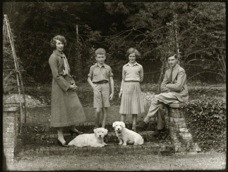 The brand family npg x150917