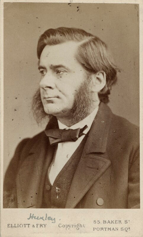 Thomas henry huxley npg ax38172