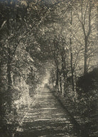 Lime Avenue, Leckhampton, Cambridge NPG Ax68467