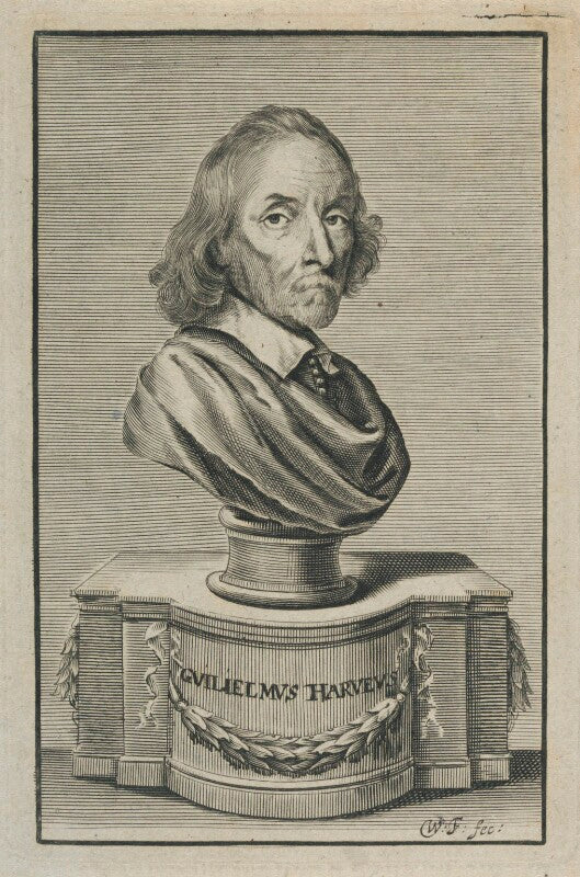 William harvey npg d22769