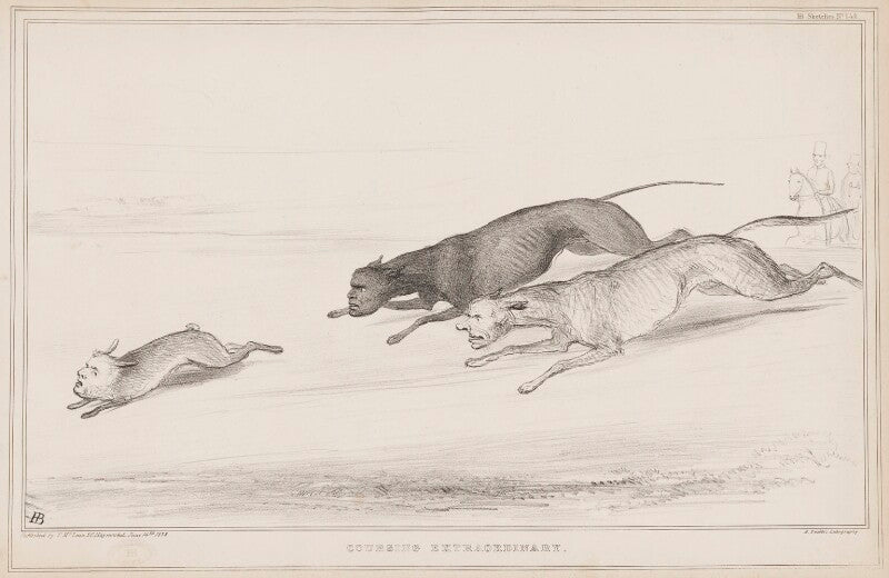 Coursing extraordinary npg d41476