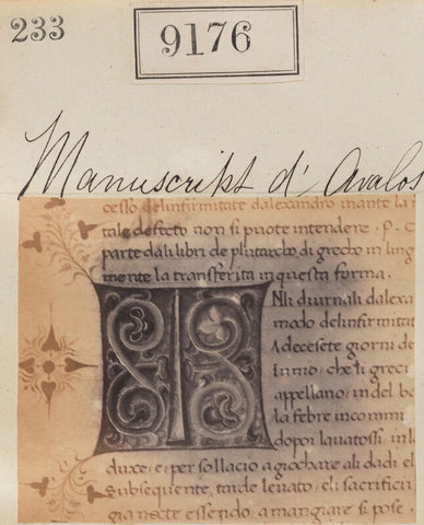 'Detail from Manuscript d'Avalos' NPG Ax58998