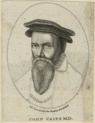 John Caius NPG D24985