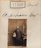 A. Sechiari NPG Ax61034