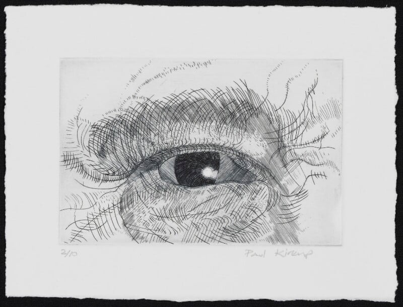 Engraving of an eye npg d49606