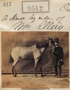 A Horse by order of Mrs Ellery NPG Ax59320
