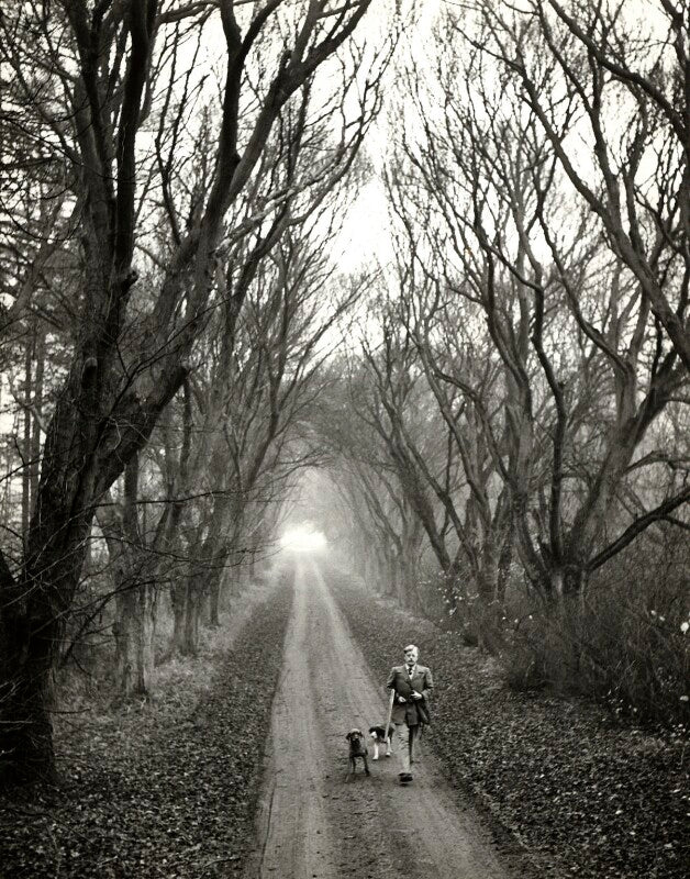 Denys james watkins pitchford ('b.b.') npg x126679