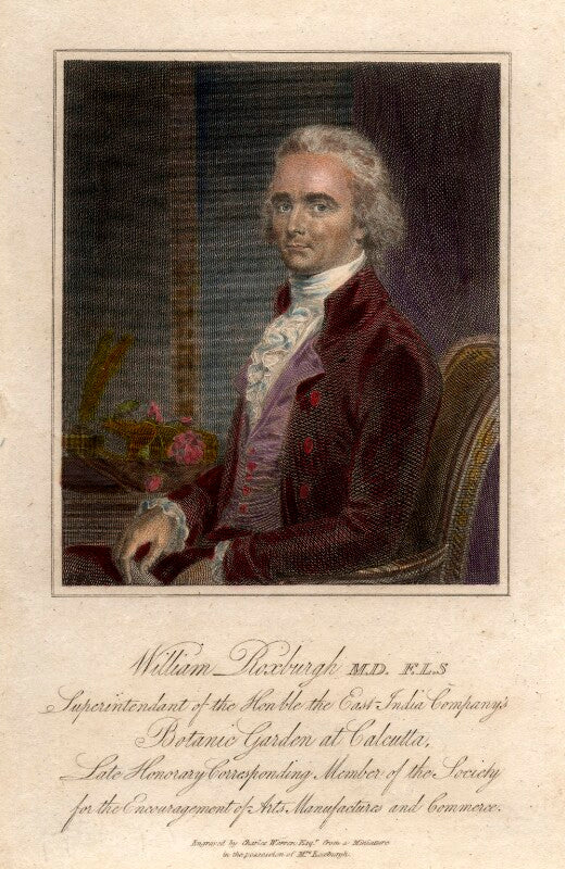 William roxburgh npg d5847