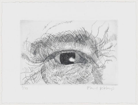 Engraving of an eye NPG D49605