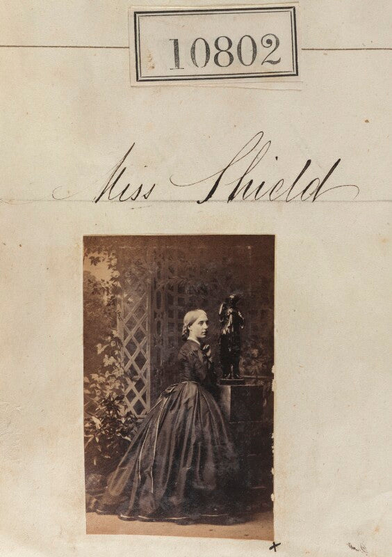 Miss sheild npg ax60508