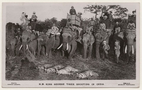 'H.M. King George Tiger Shotting in India' (King George V and others) NPG x193181