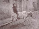 'Rough Rider' (Unknown boy) NPG x198812