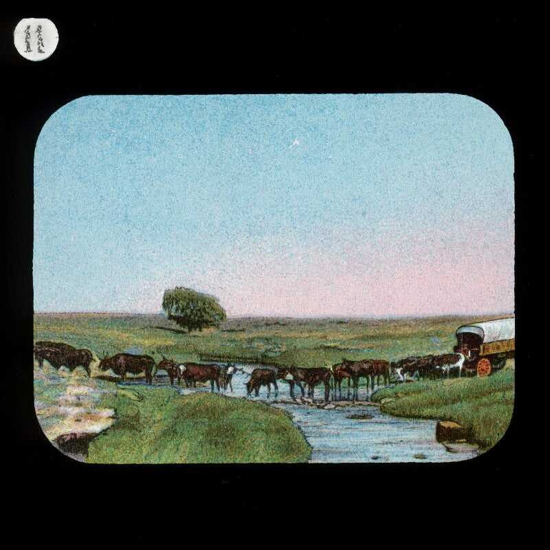 Waggon crossing river (relates to david livingstone) npg d18384