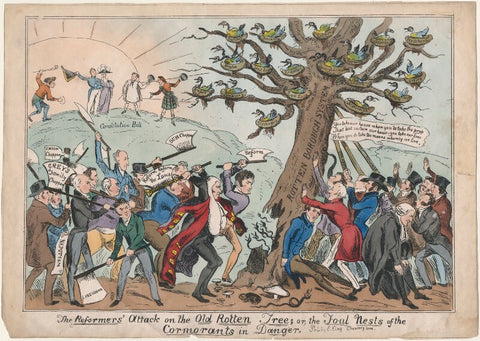 The Reformers' Attack on the Old Rotten Tree; or the Foul Nests of the Cormorants in Danger NPG D48848