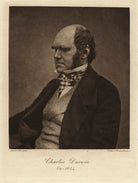 Charles Darwin NPG x5930