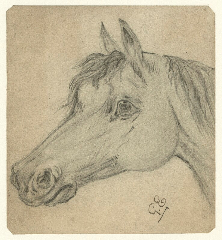 Head of a horse npg d23196