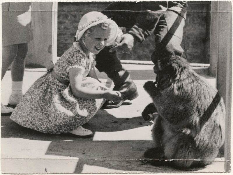 Princess anne npg x183993