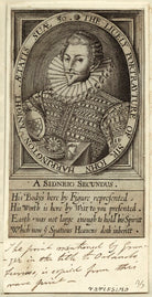 Sir John Harington NPG D25496